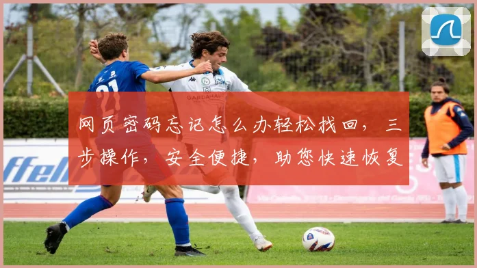 网页密码忘记怎么办轻松找回，三步操作，安全便捷，助您快速恢复登录