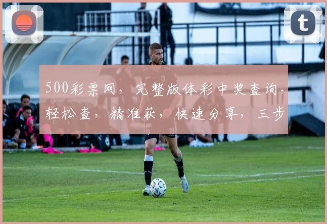 500彩票网，完整版体彩中奖查询，轻松查，精准获，快速分享，三步走