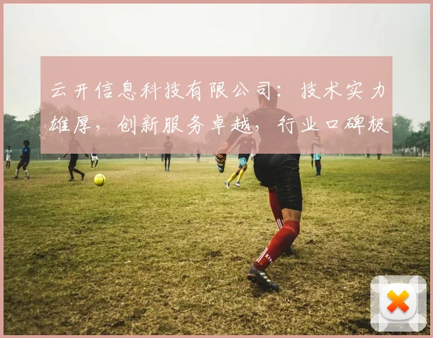 云开信息科技有限公司：技术实力雄厚，创新服务卓越，行业口碑极佳，值得信赖