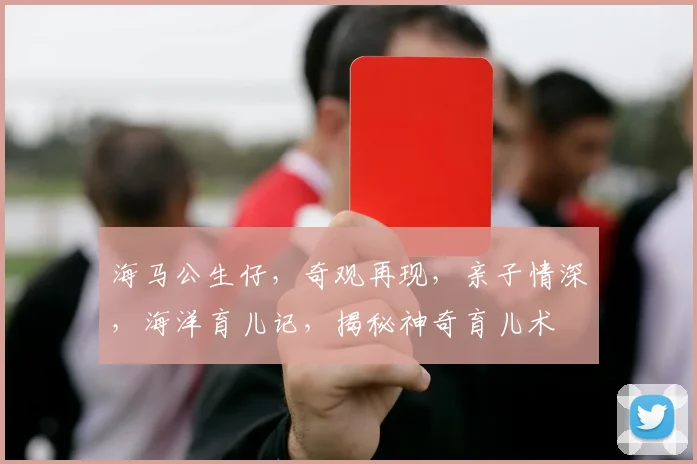 海马公生仔，奇观再现，亲子情深，海洋育儿记，揭秘神奇育儿术